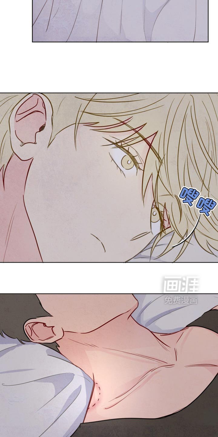 第30章：看不清