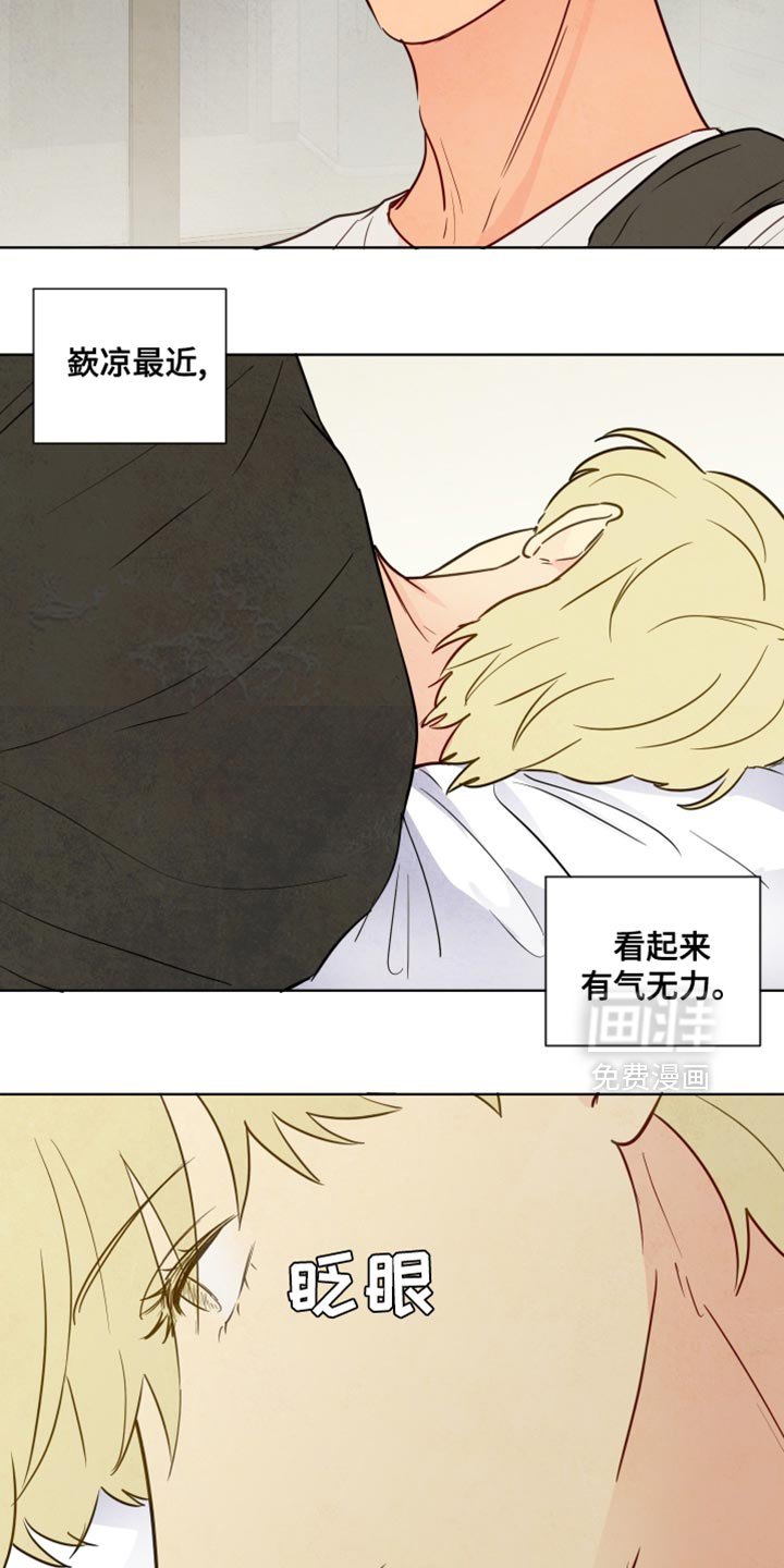 第30章：看不清