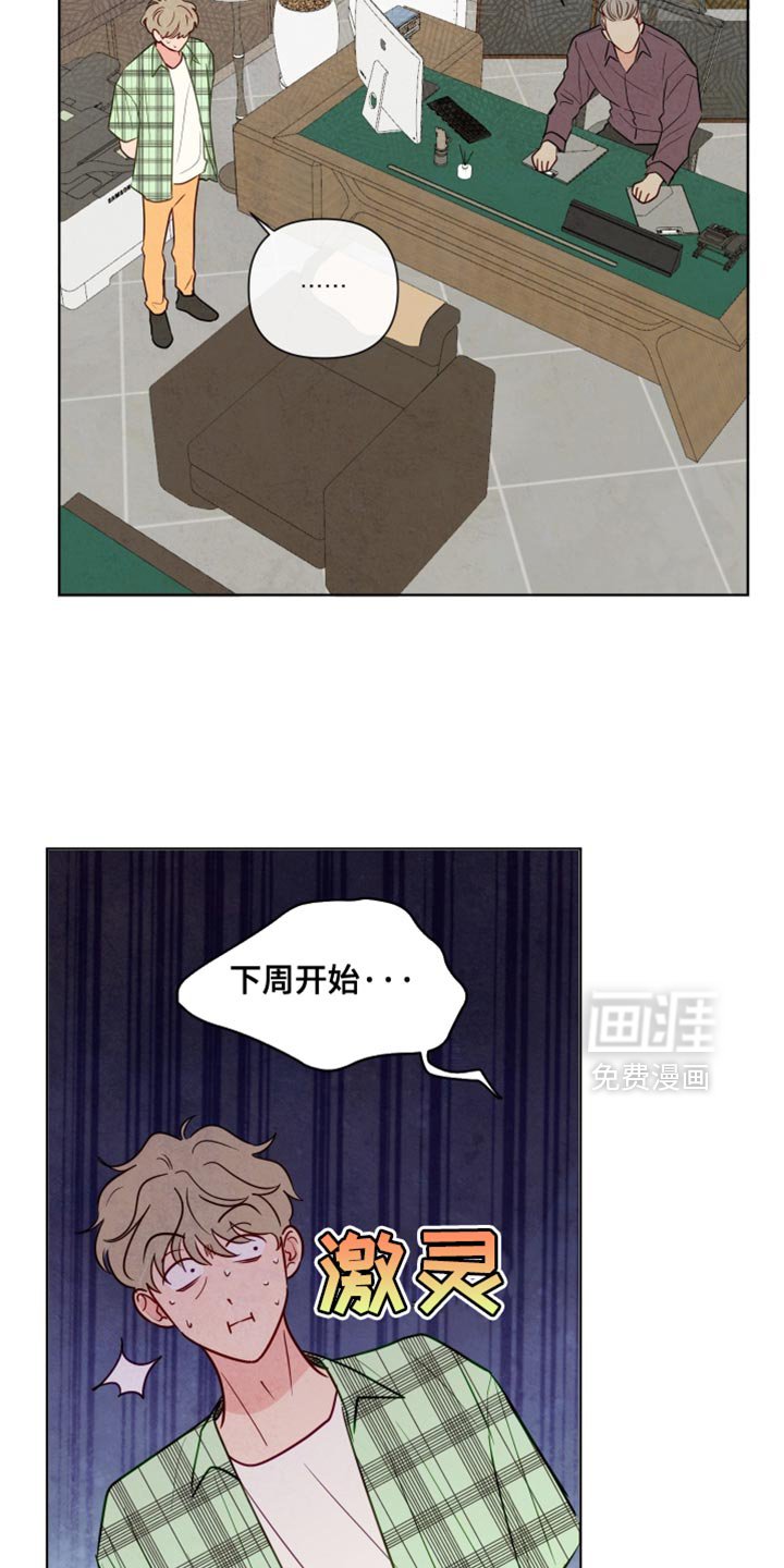第31章：靠我的能力