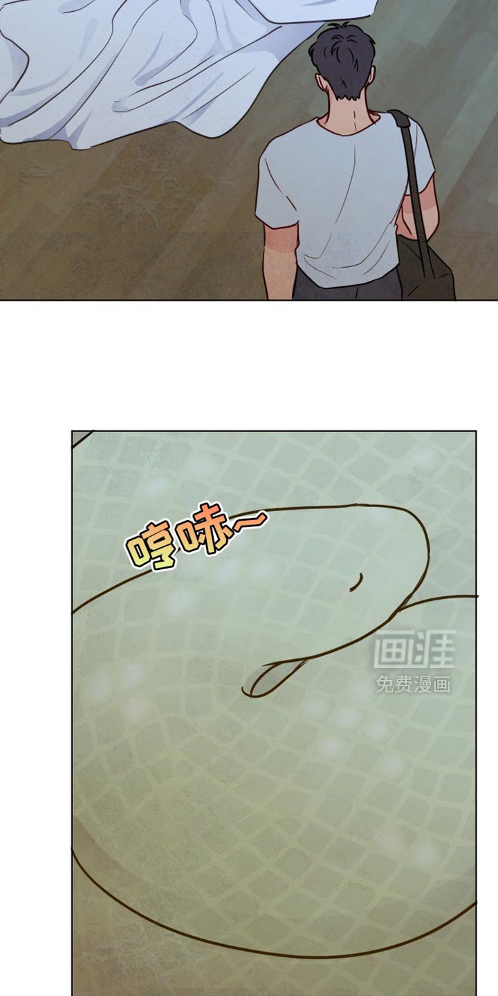 第31章：靠我的能力