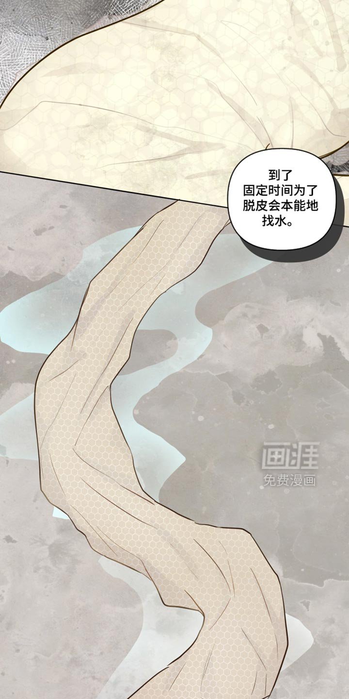 第34章：脱皮