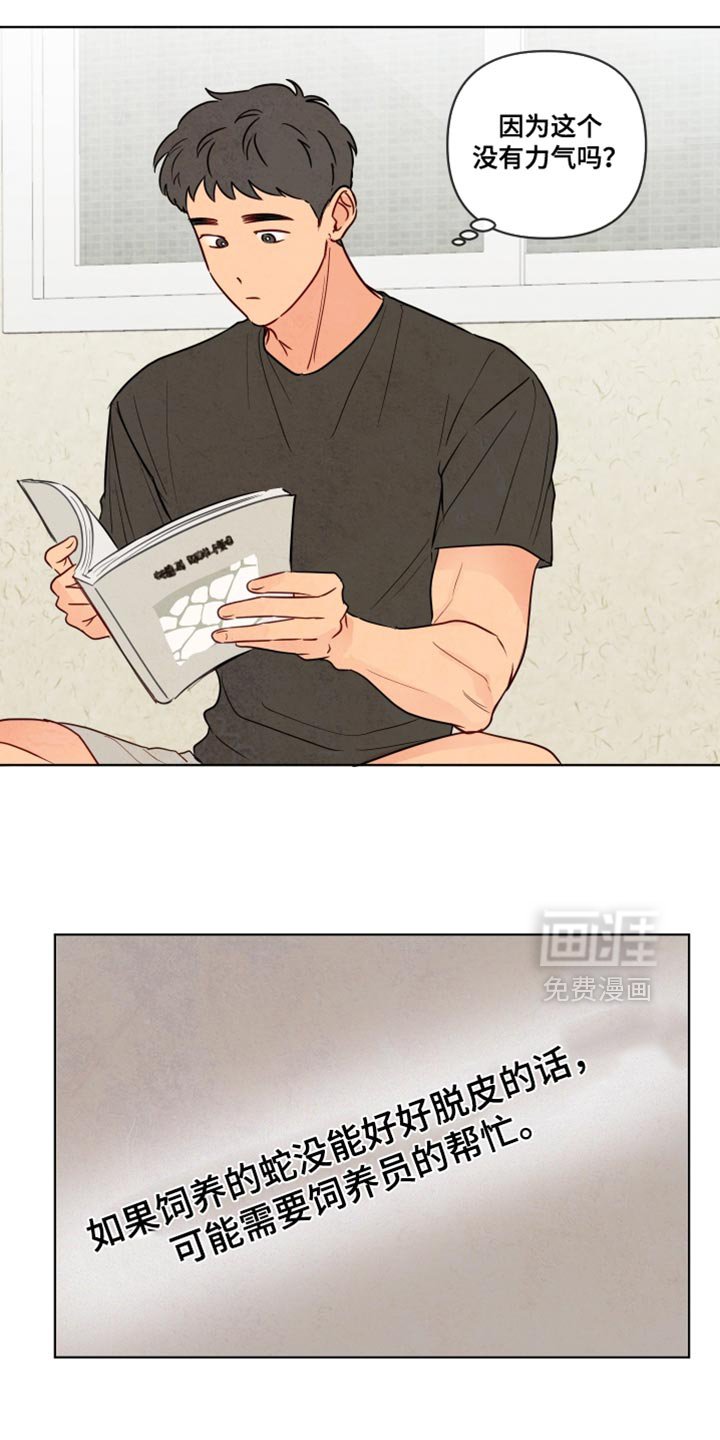 第34章：脱皮