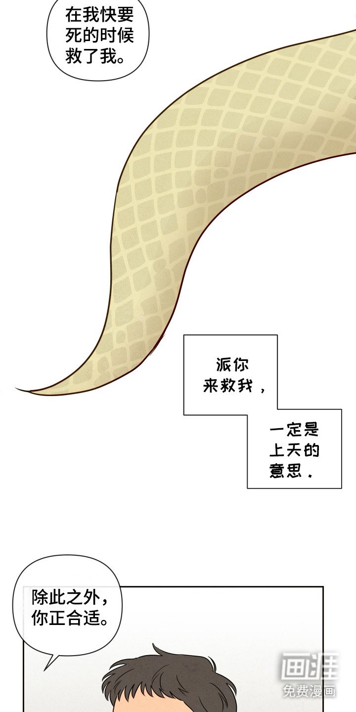 第4章：拒绝