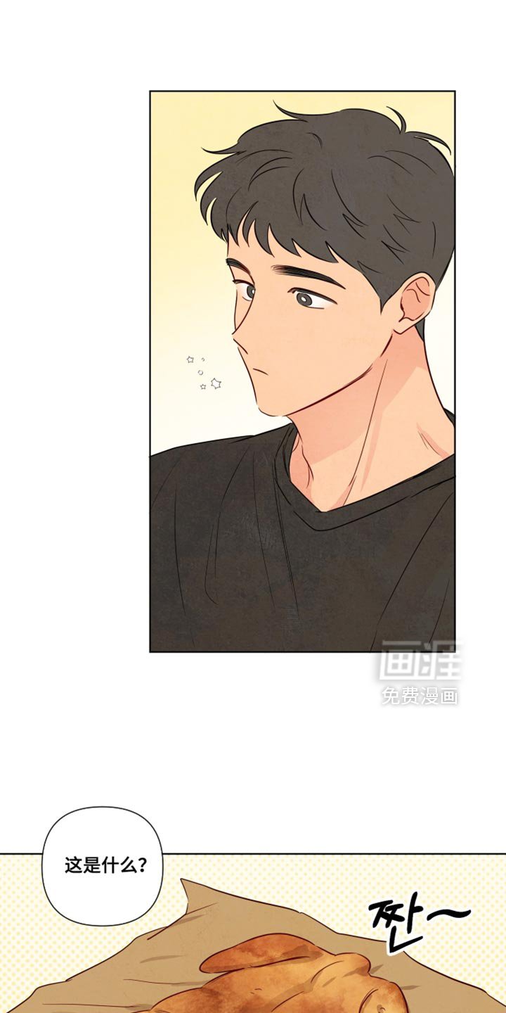 第42章：【第二季】我不太喜欢
