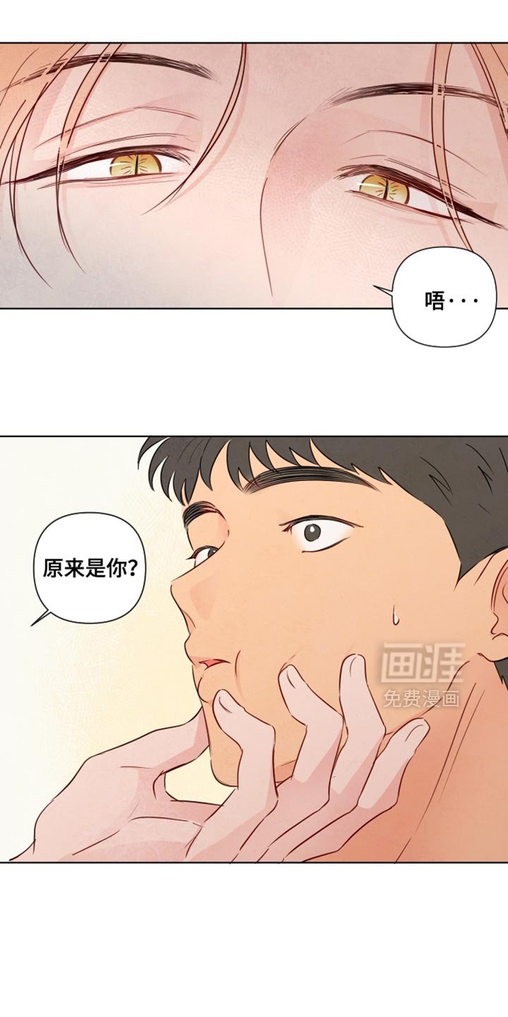 第46章：【第二季】原来是你