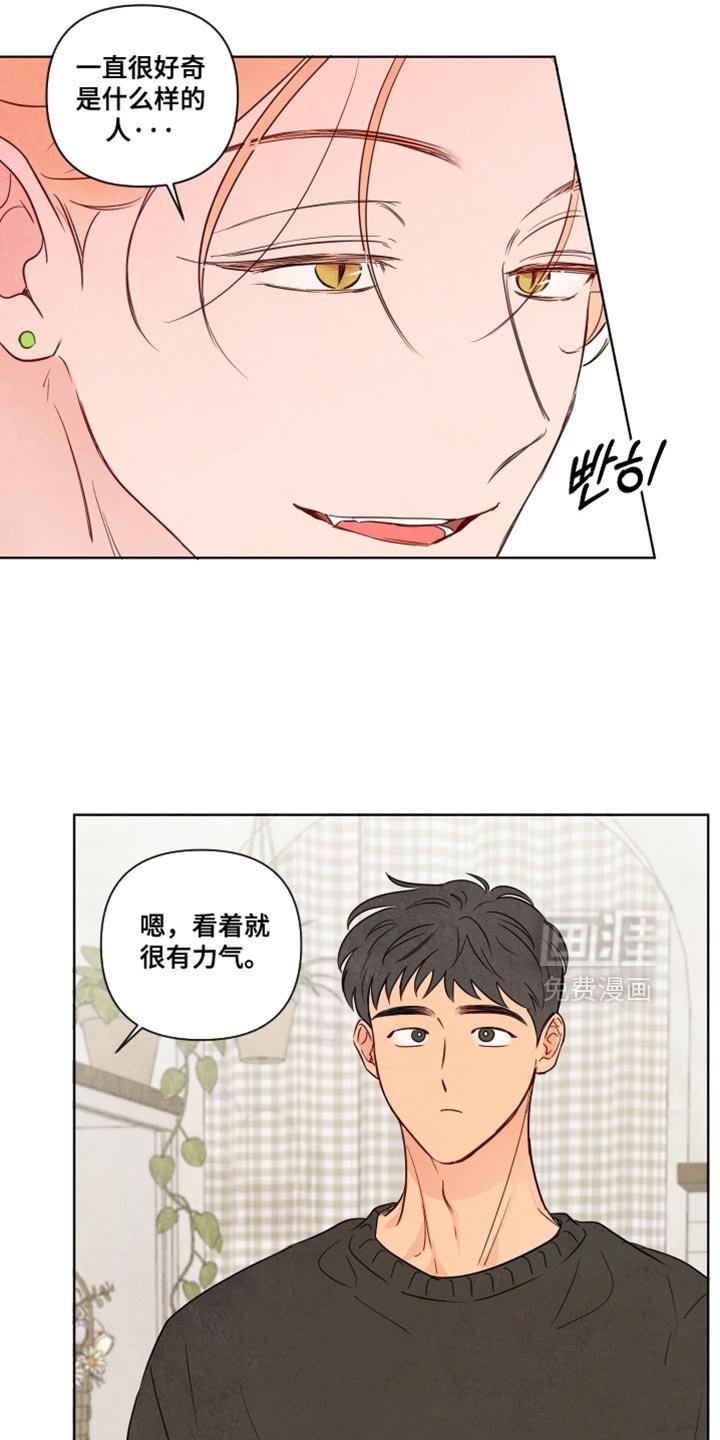第47章：【第二季】送你回去