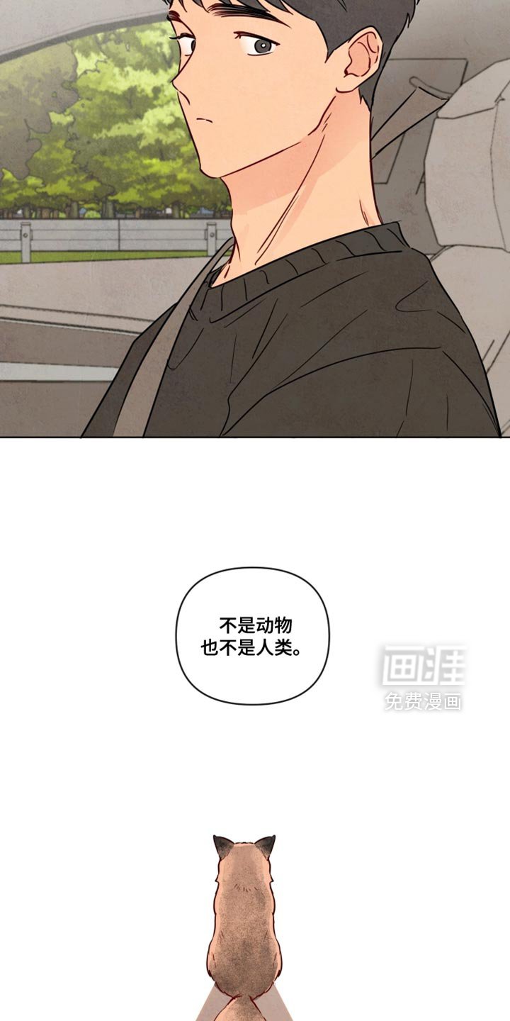 第48章：【第二季】不是动物也不是人类