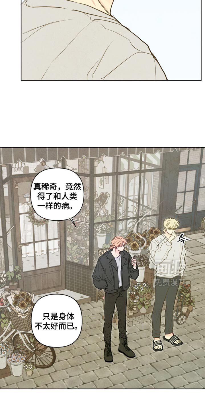 第50章：【第二季】特别喜欢的地方