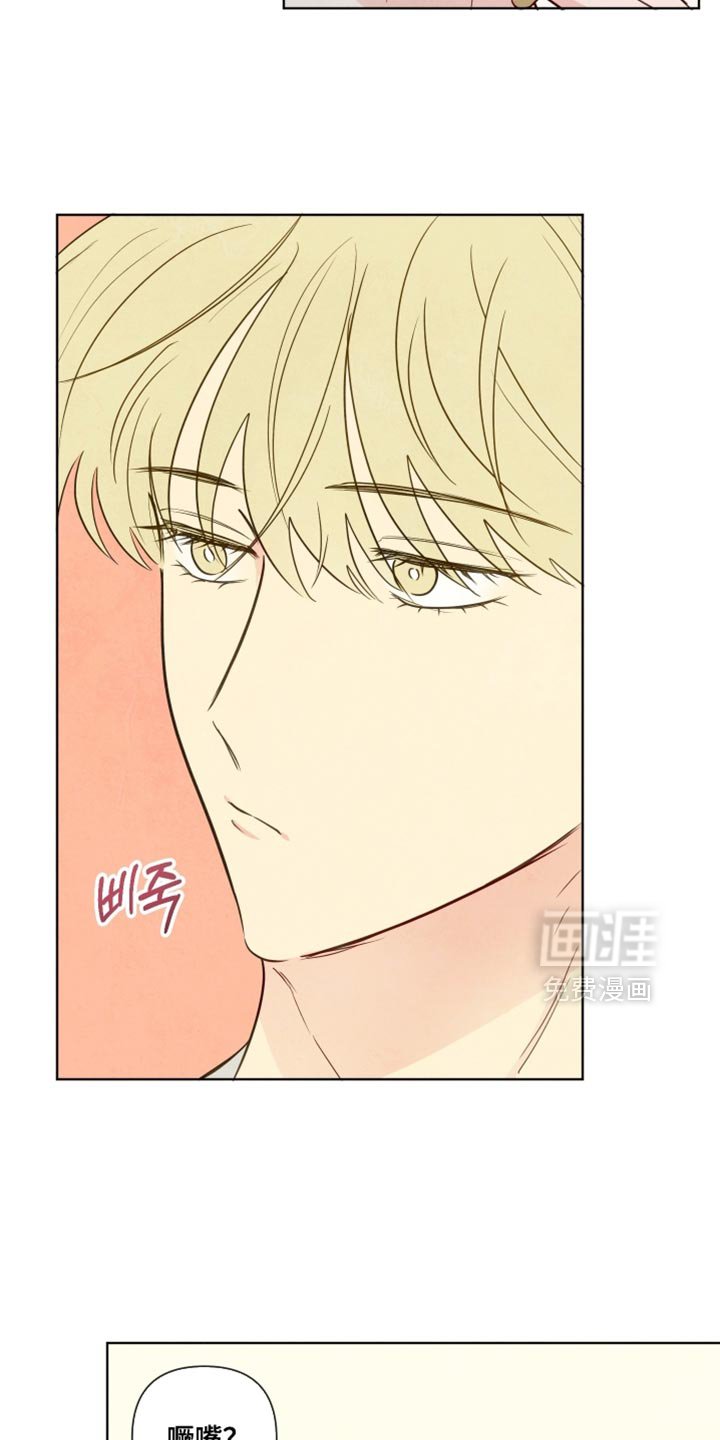 第50章：【第二季】特别喜欢的地方