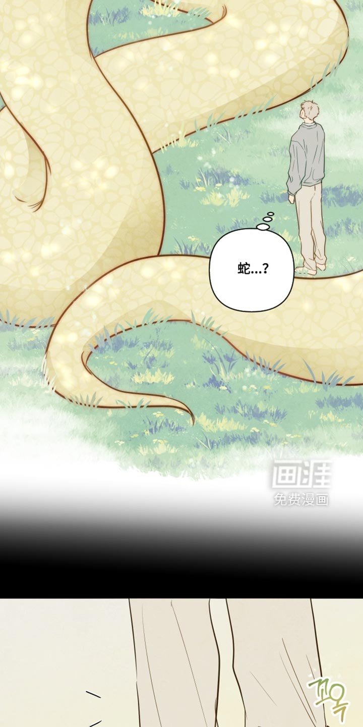 第55章：【第二季】回家吧