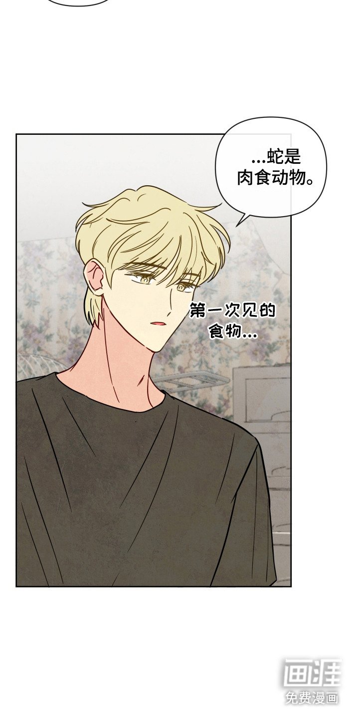 第6章：固执