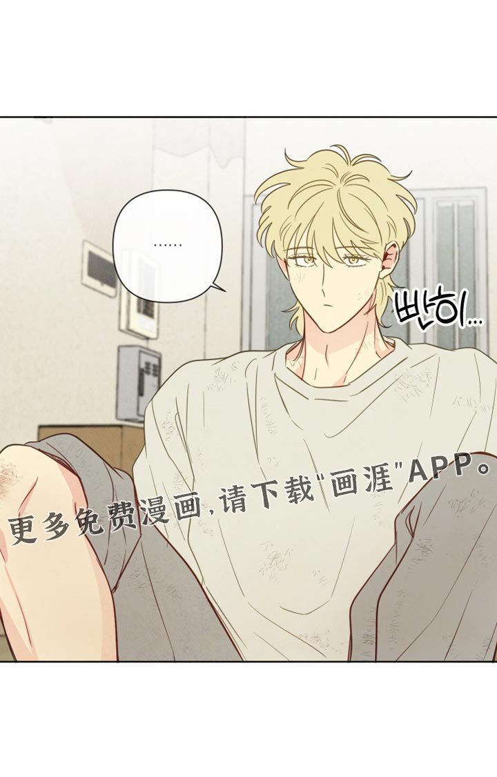 第60章：【第二季】你摔倒了