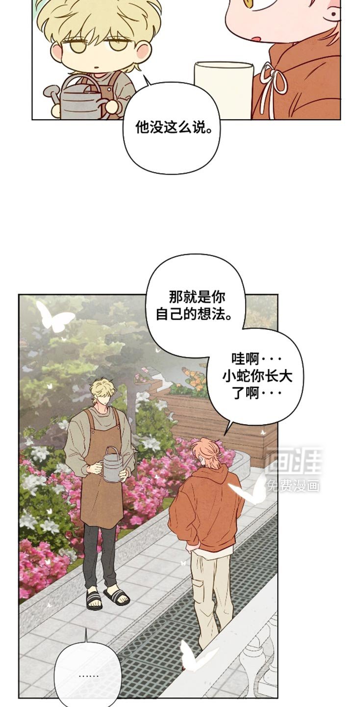 第66章：【第二季】颜色漂亮的蛇