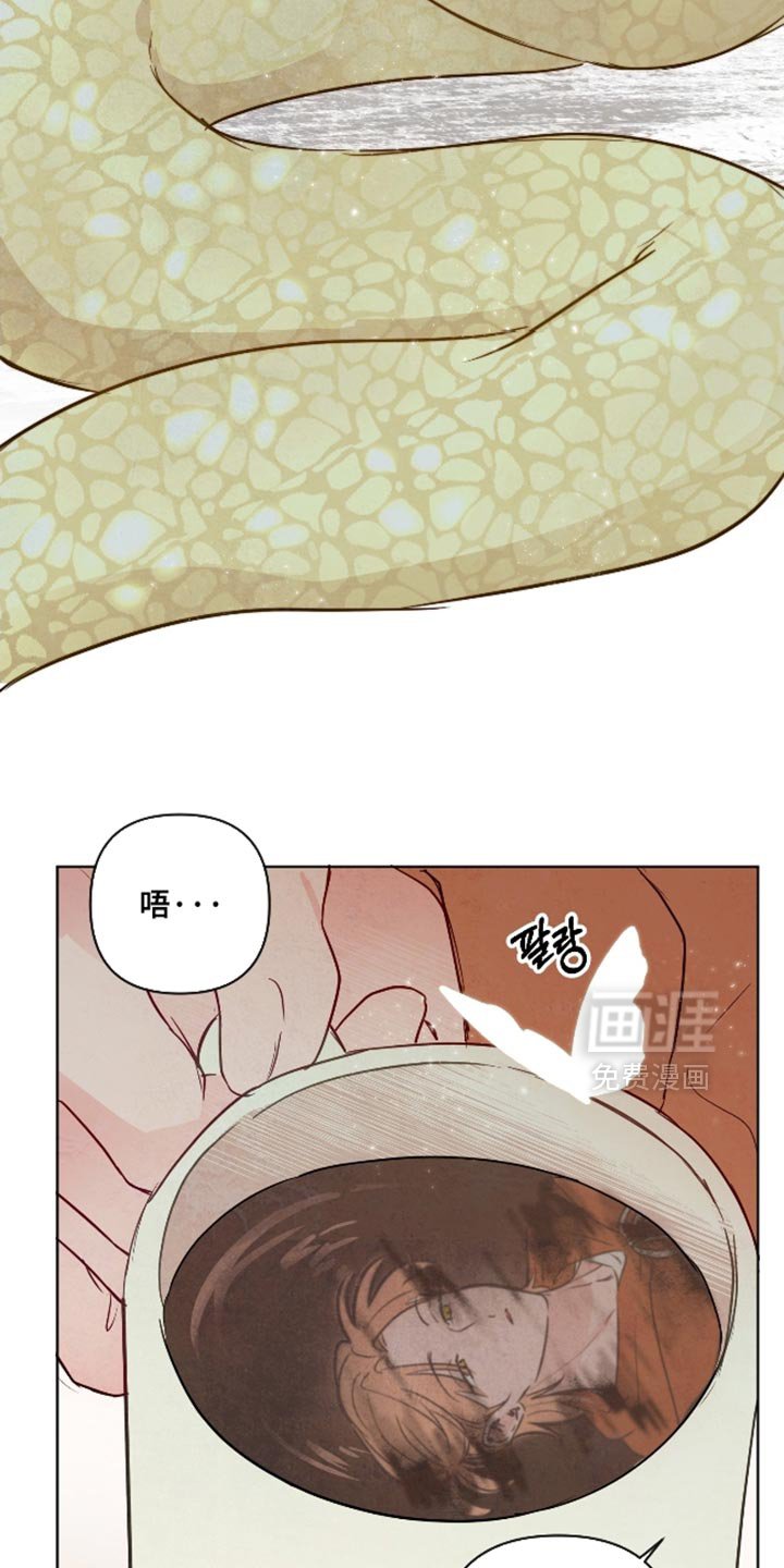第66章：【第二季】颜色漂亮的蛇