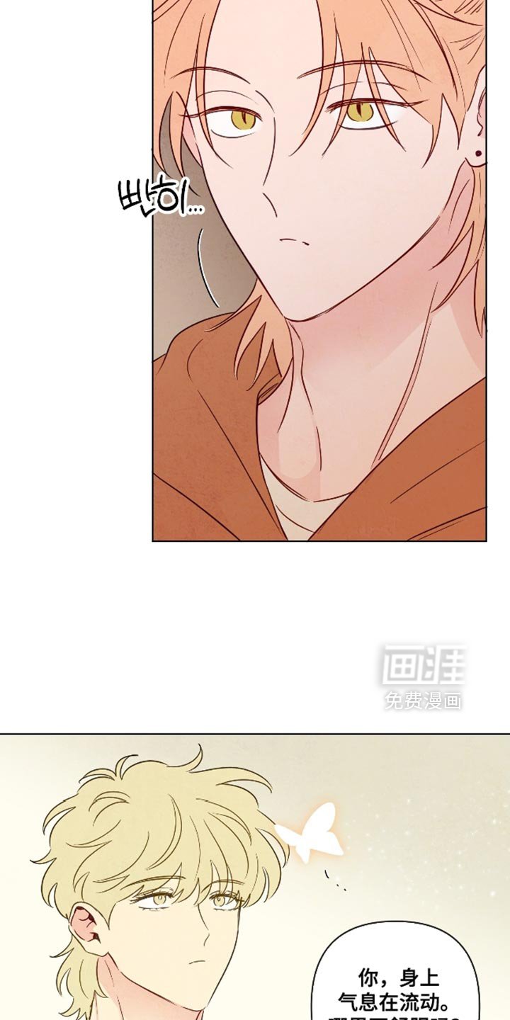 第66章：【第二季】颜色漂亮的蛇