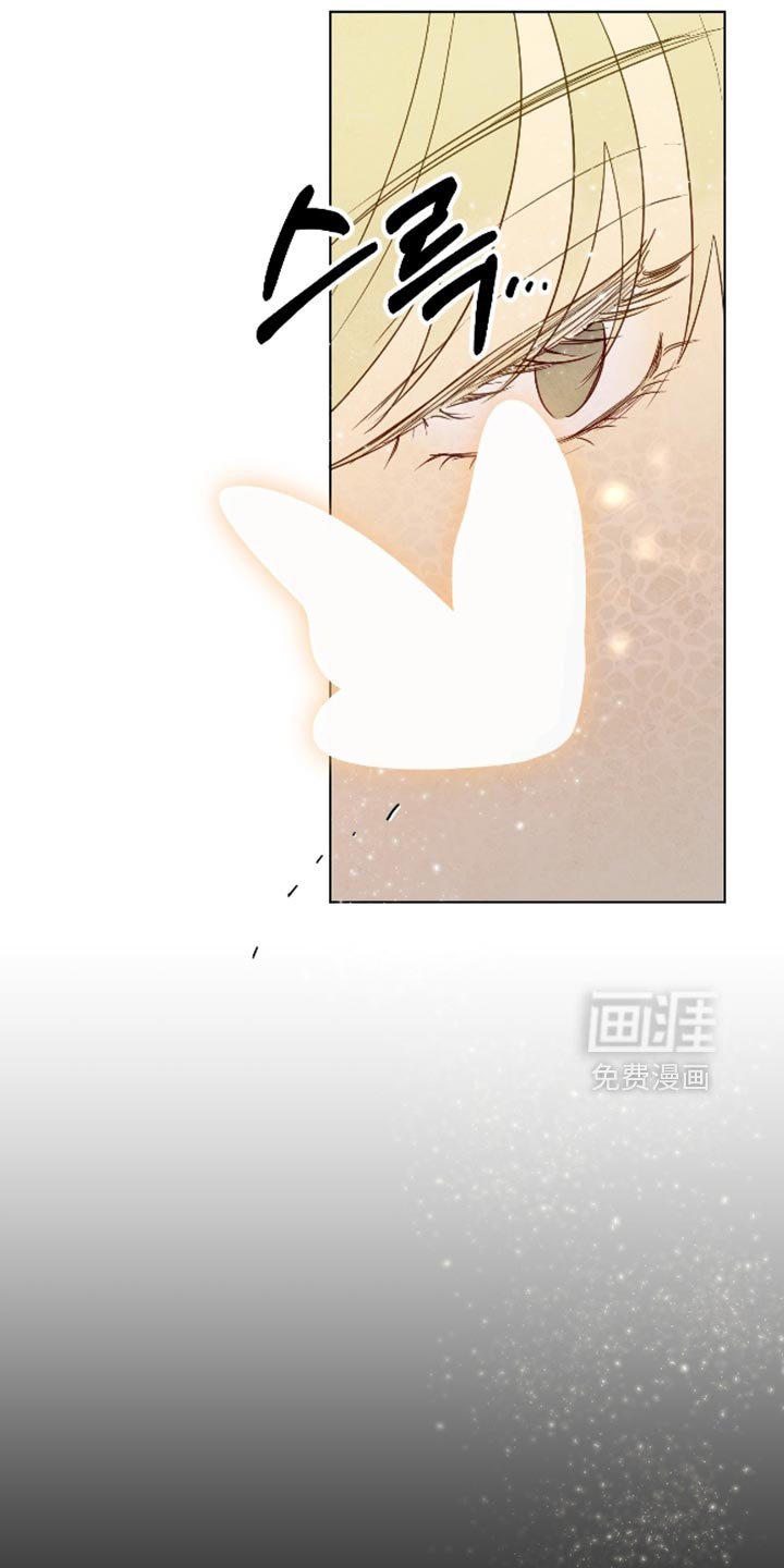 第66章：【第二季】颜色漂亮的蛇