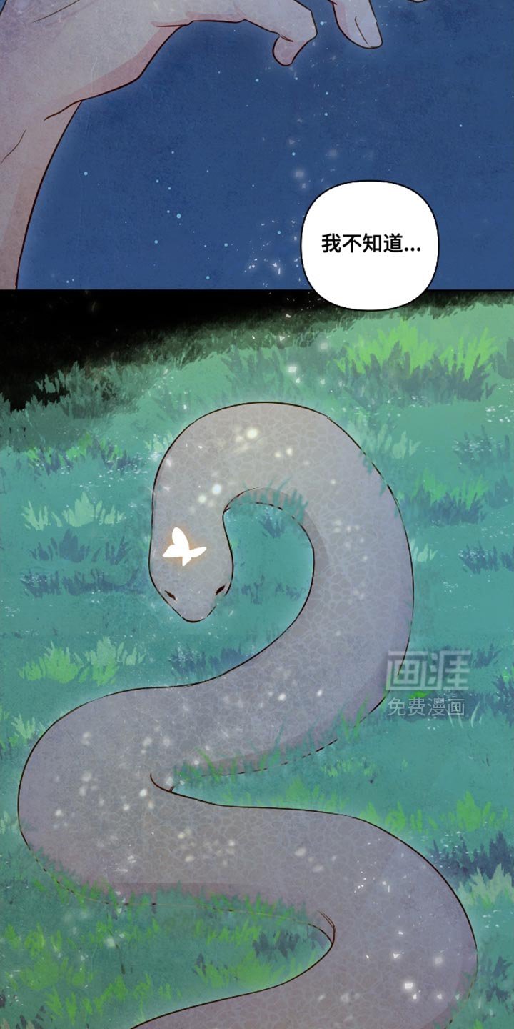 第66章：【第二季】颜色漂亮的蛇