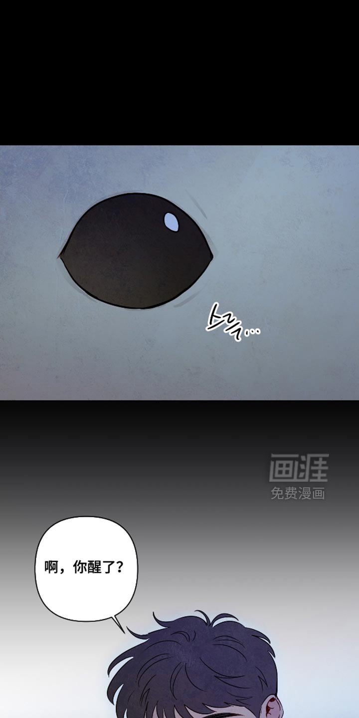 第66章：【第二季】颜色漂亮的蛇
