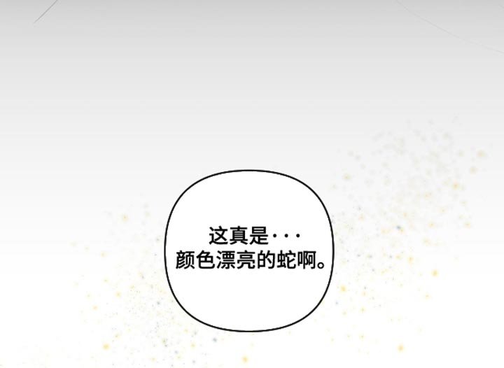 第66章：【第二季】颜色漂亮的蛇