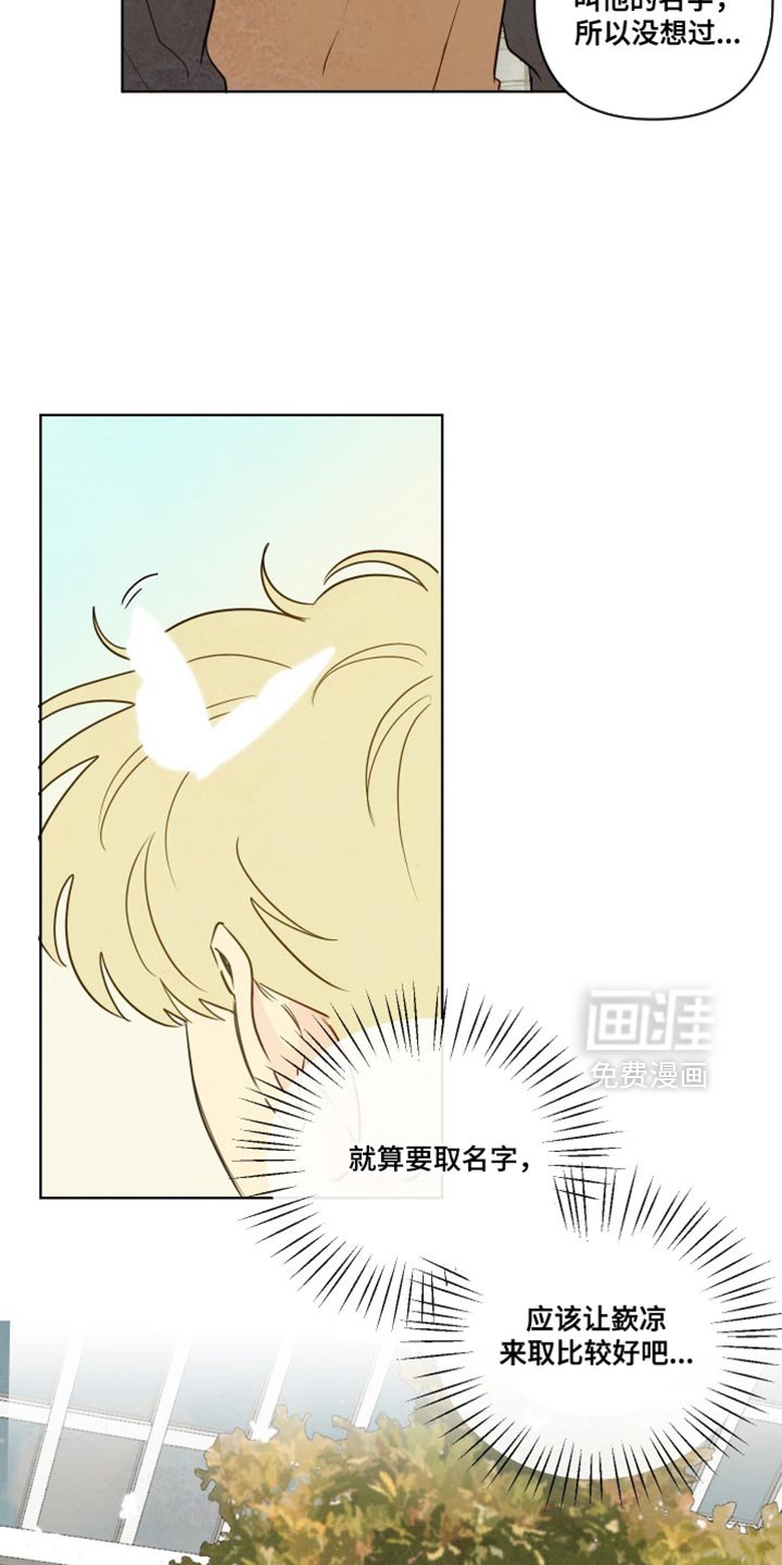 第67章：【第二季】我来买花