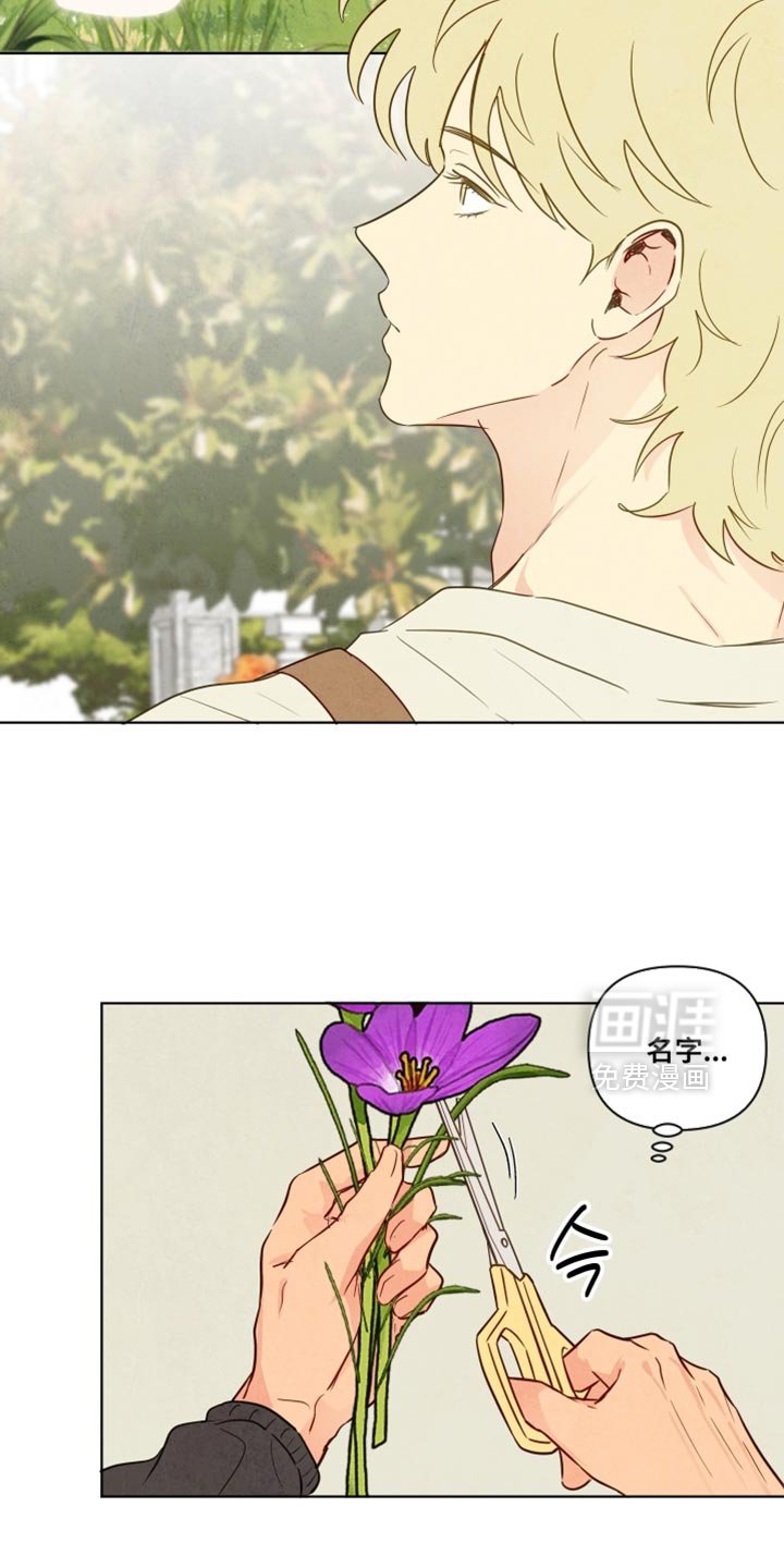 第67章：【第二季】我来买花
