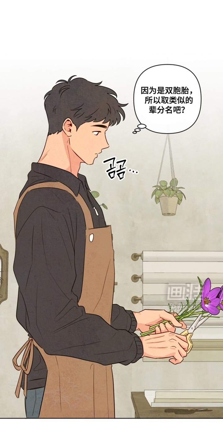 第67章：【第二季】我来买花