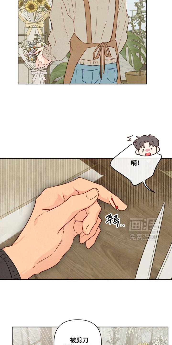 第67章：【第二季】我来买花