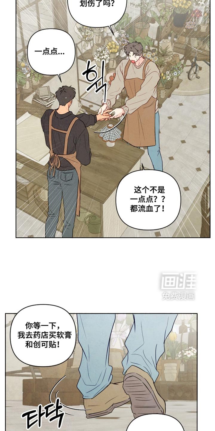 第67章：【第二季】我来买花