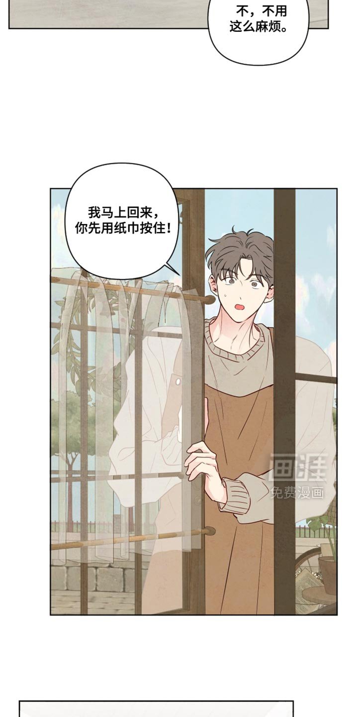 第67章：【第二季】我来买花