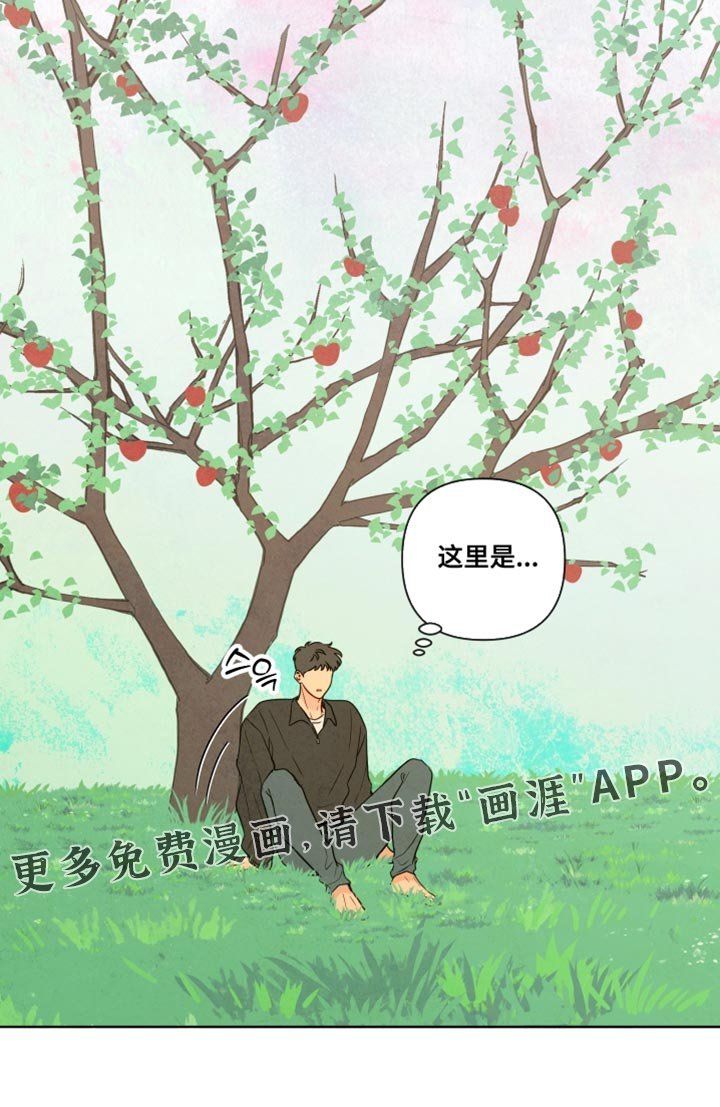 第68章：【第二季】新鲜的灵魂