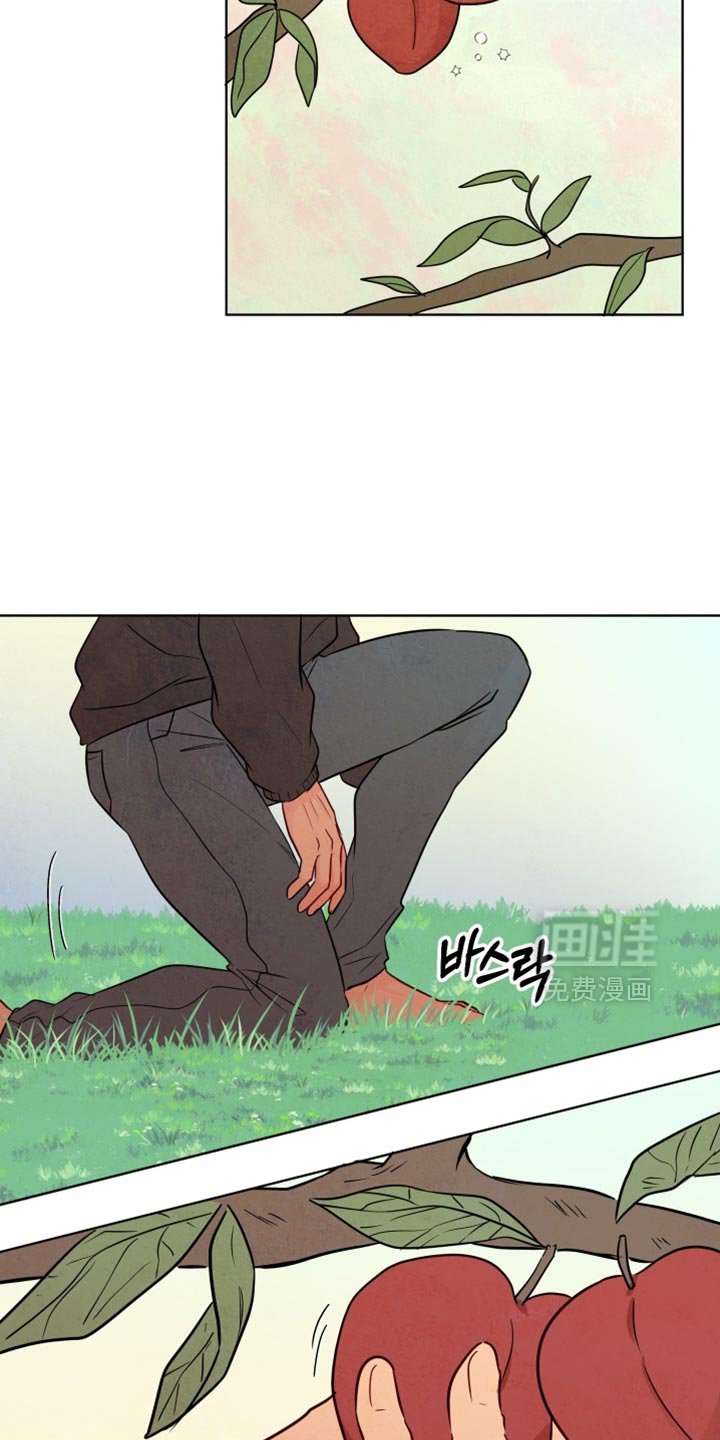 第69章：【第二季】我谁都保护不了
