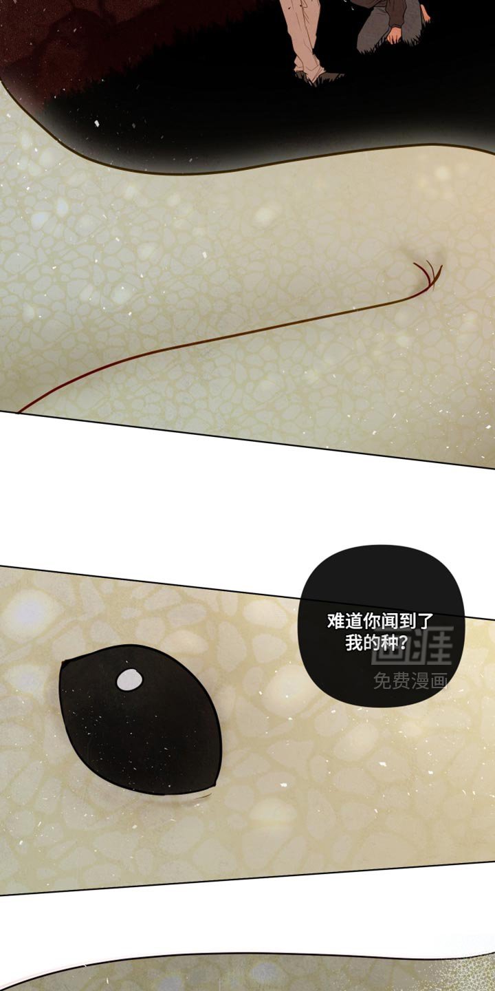 第70章：【第二季】愚蠢的人类