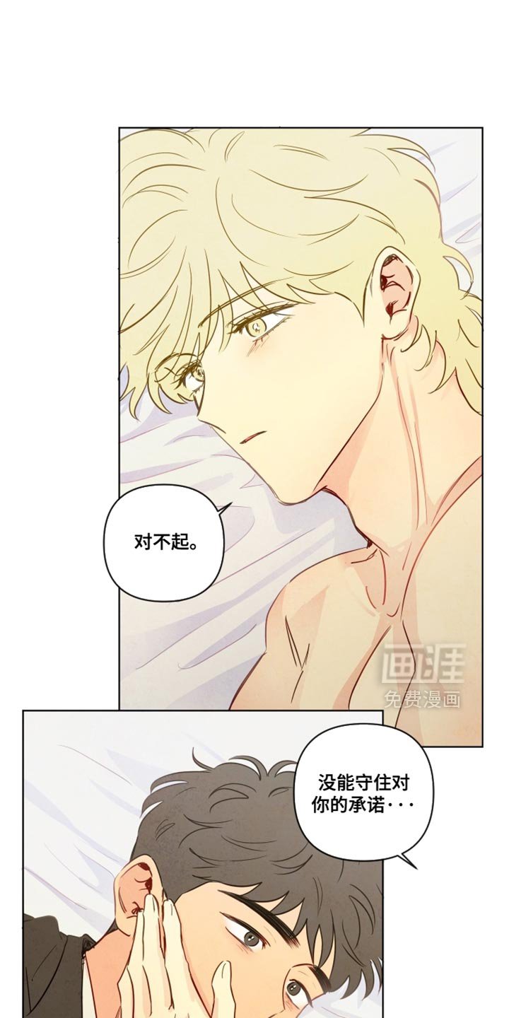 第75章：【第二季】不是他的错