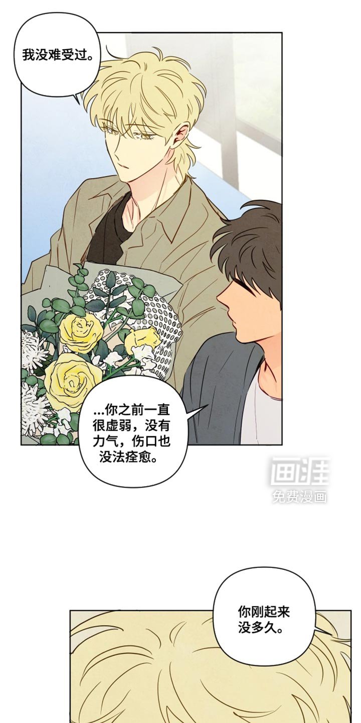 第75章：【第二季】不是他的错