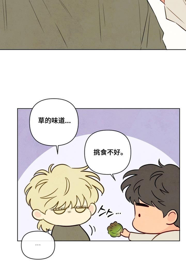 第80章：【第二季】和你一起也挺好的