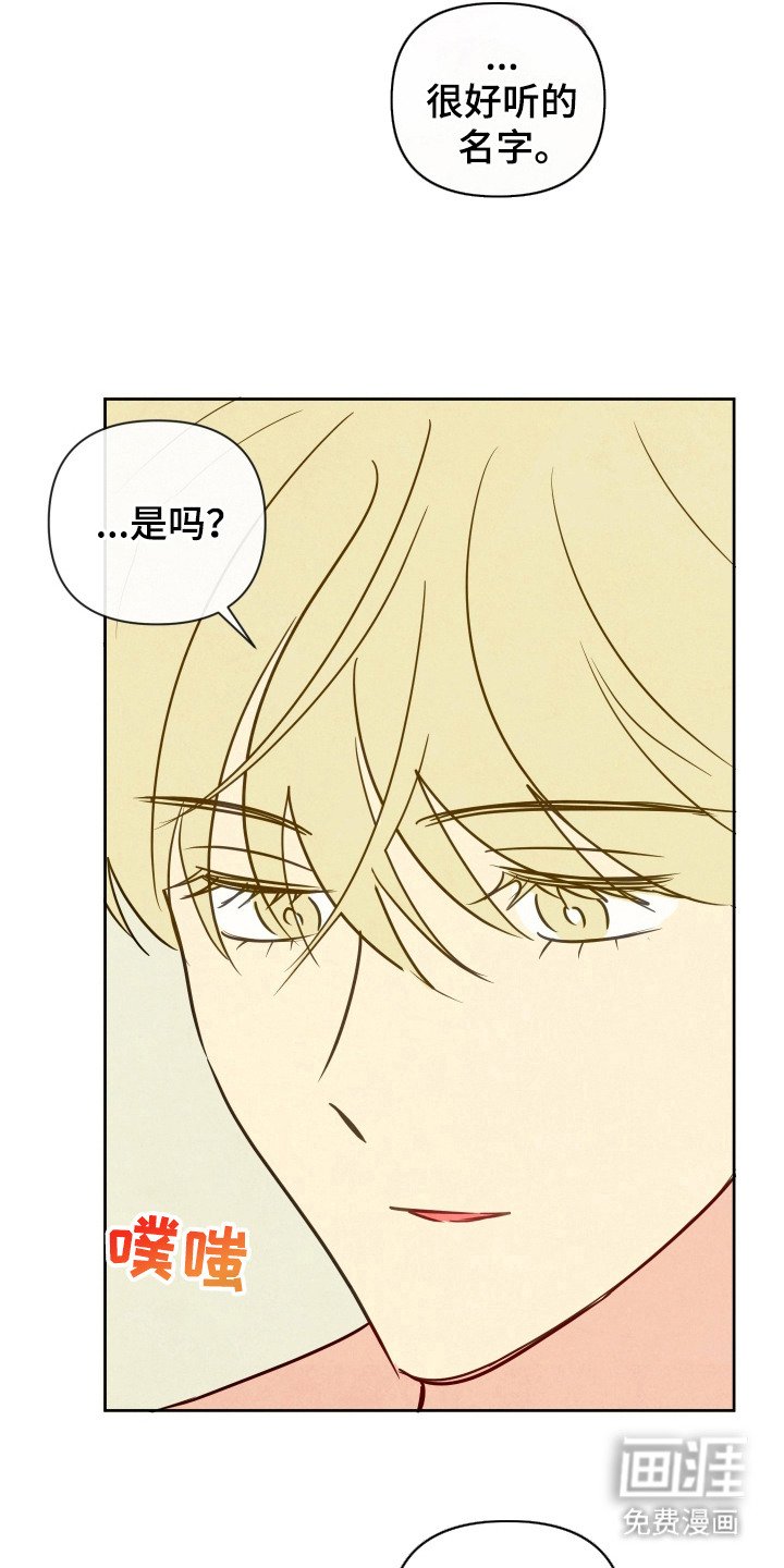 第9章：宝珠