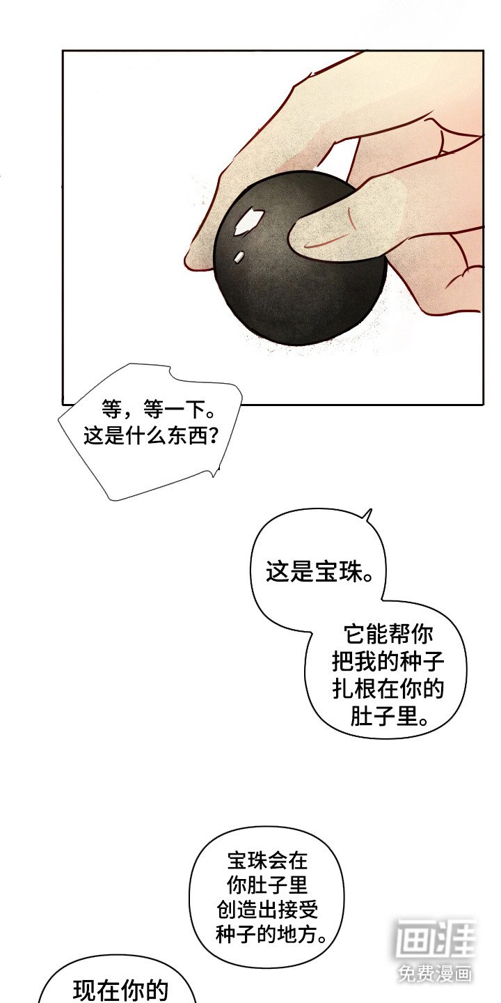 第9章：宝珠