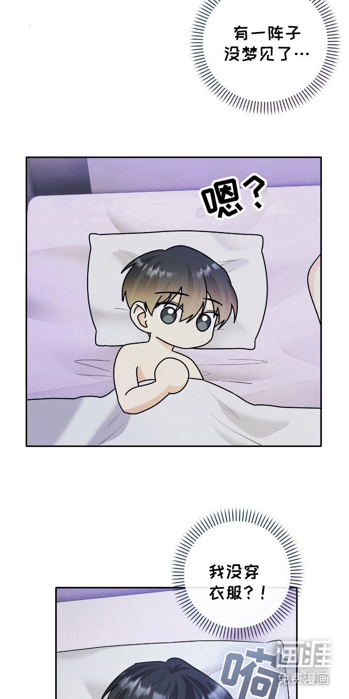 第21章：只是梦