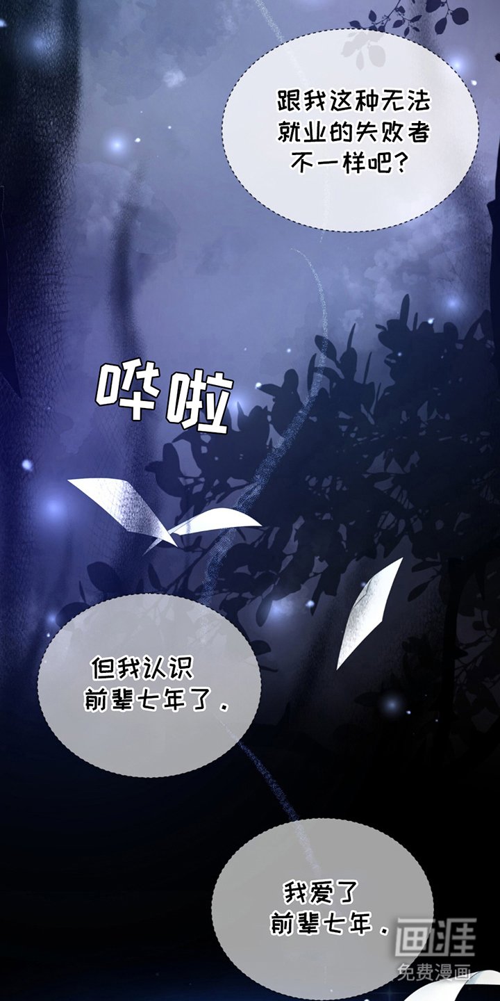 第4章：七年