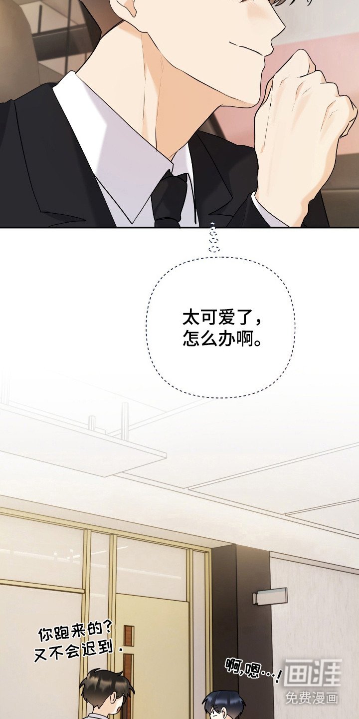 第42章：展现美好