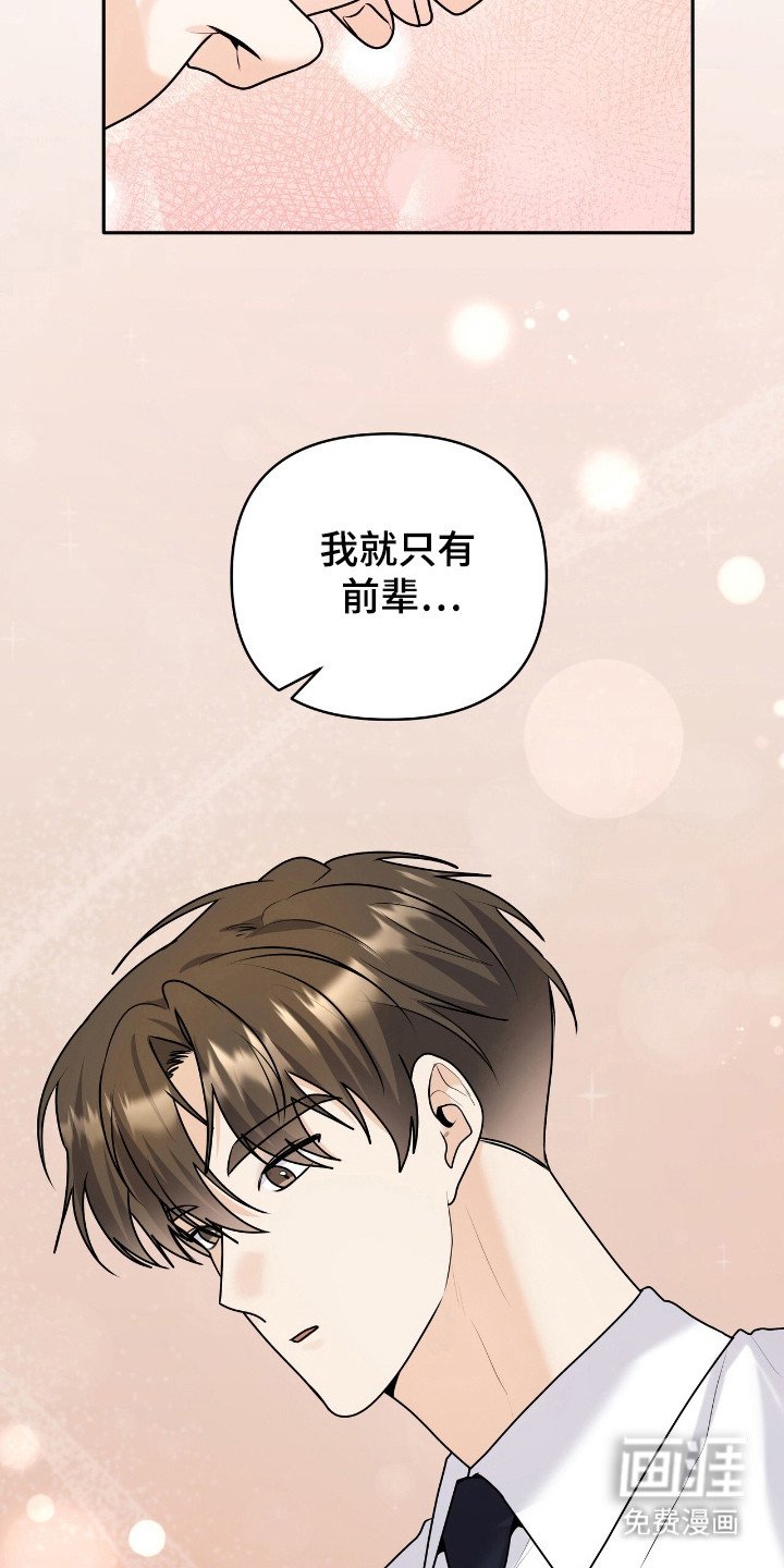 第52章：只喜欢你