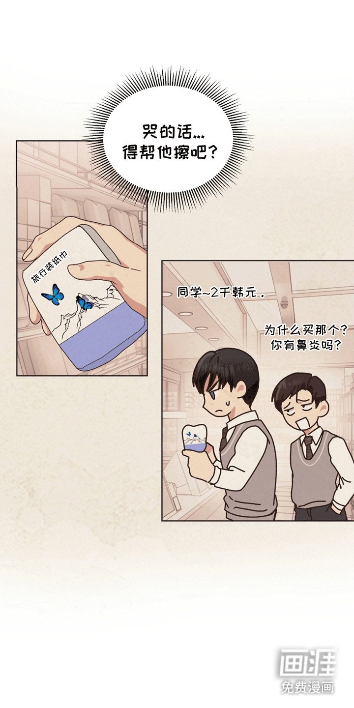 第5章：丘比特
