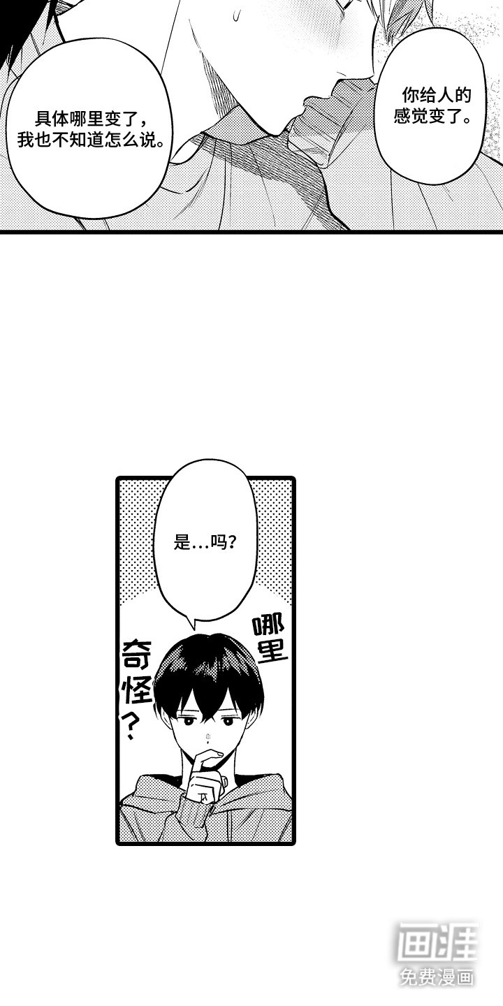 第19章：坦诚的想法