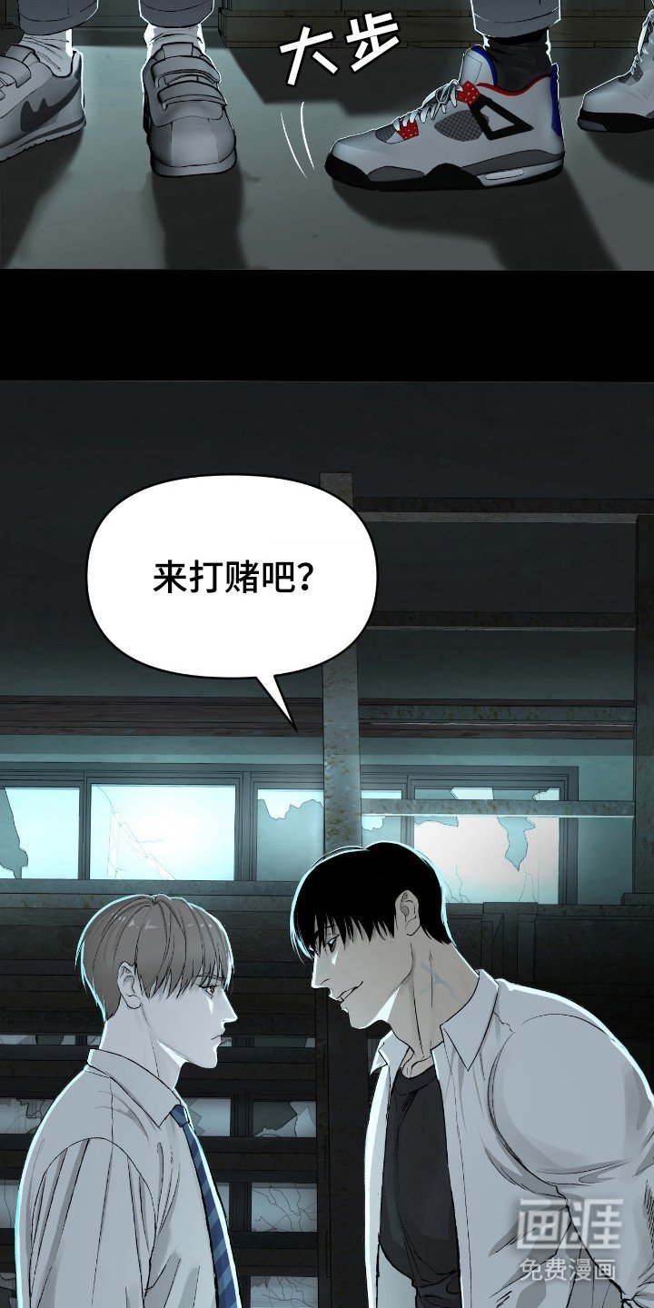 第11章：诱饵