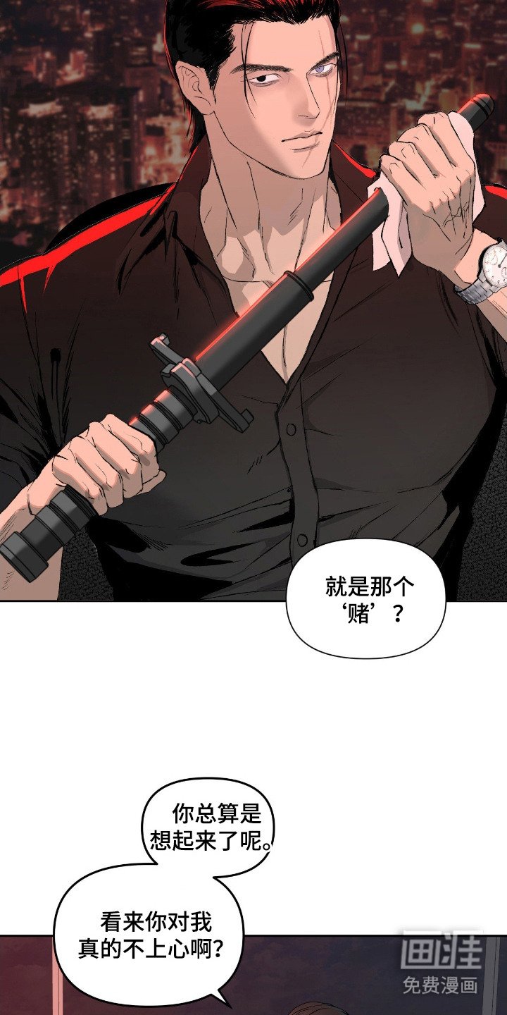 第11章：诱饵