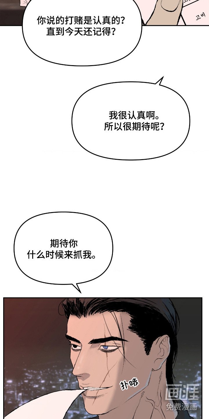 第11章：诱饵
