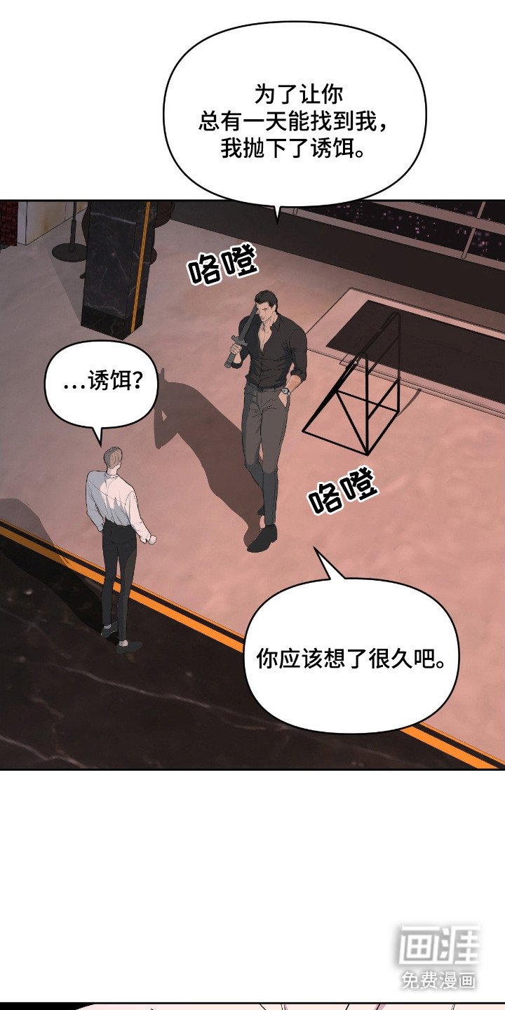 第11章：诱饵