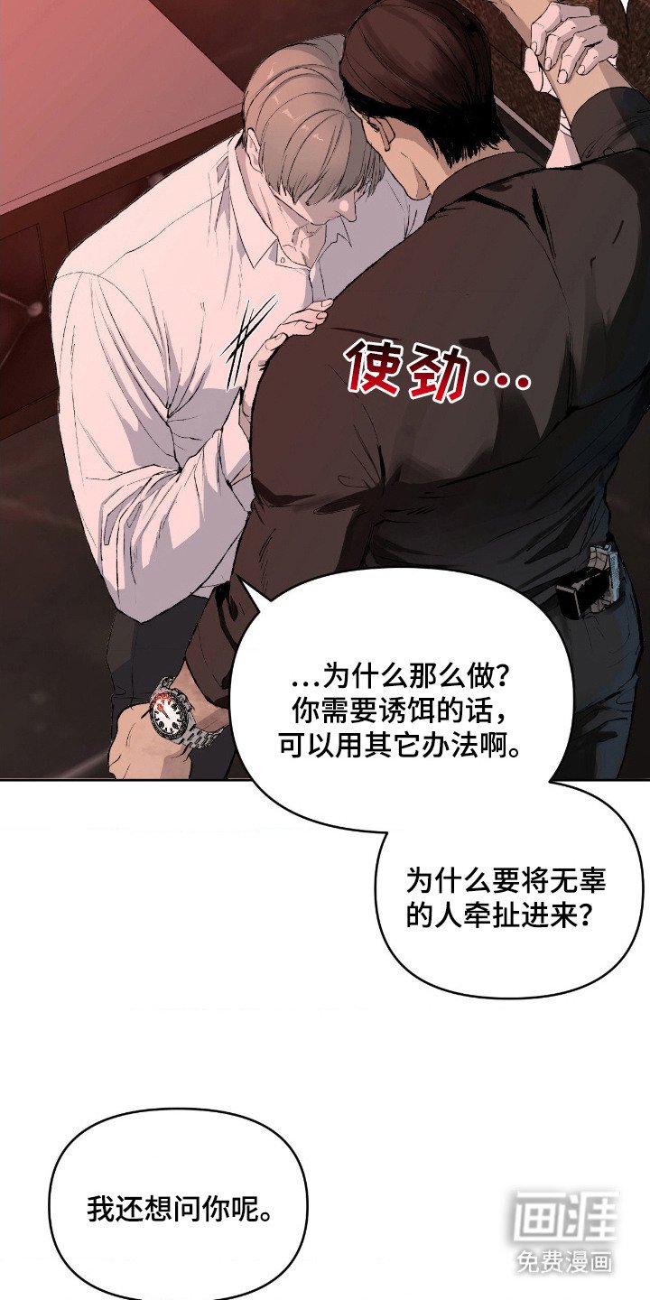第11章：诱饵