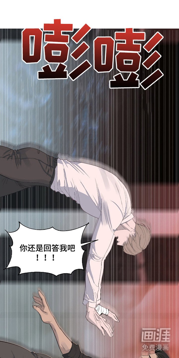 第11章：诱饵