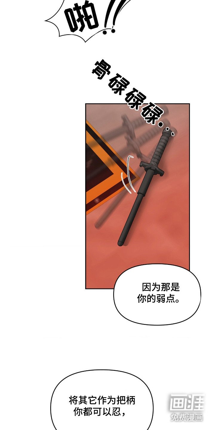 第11章：诱饵
